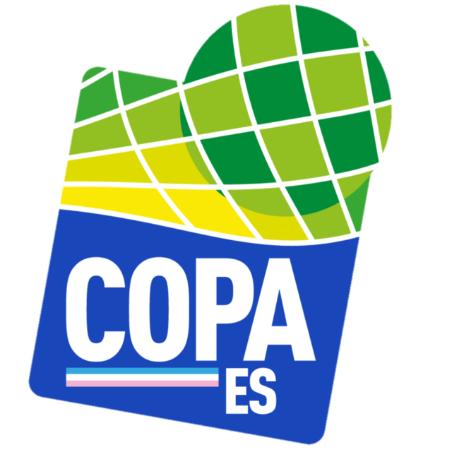 Copa Espírito Santo Logo