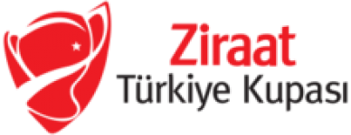 Türkiye Kupası Logo